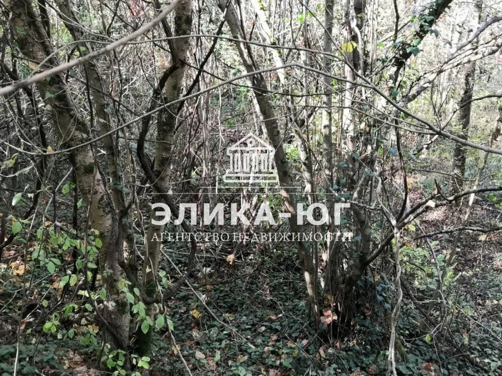 Продажа участка, Вольное, Туапсинский район, ул. Лесная - Фото 12