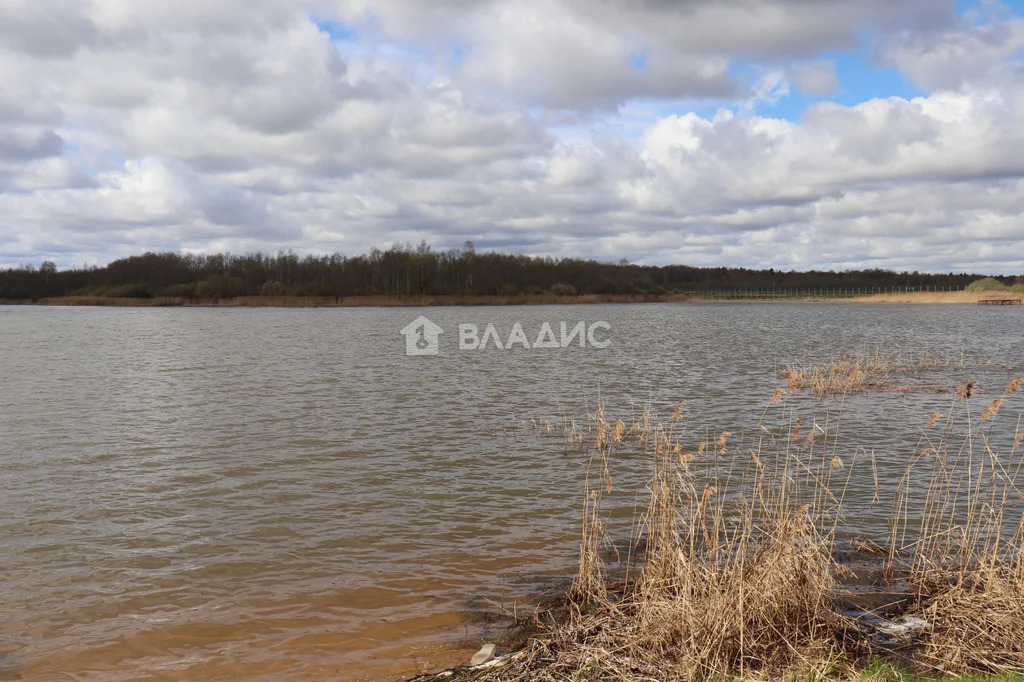 городской округ Шаховская, деревня Харитоново,  дом на продажу - Фото 39