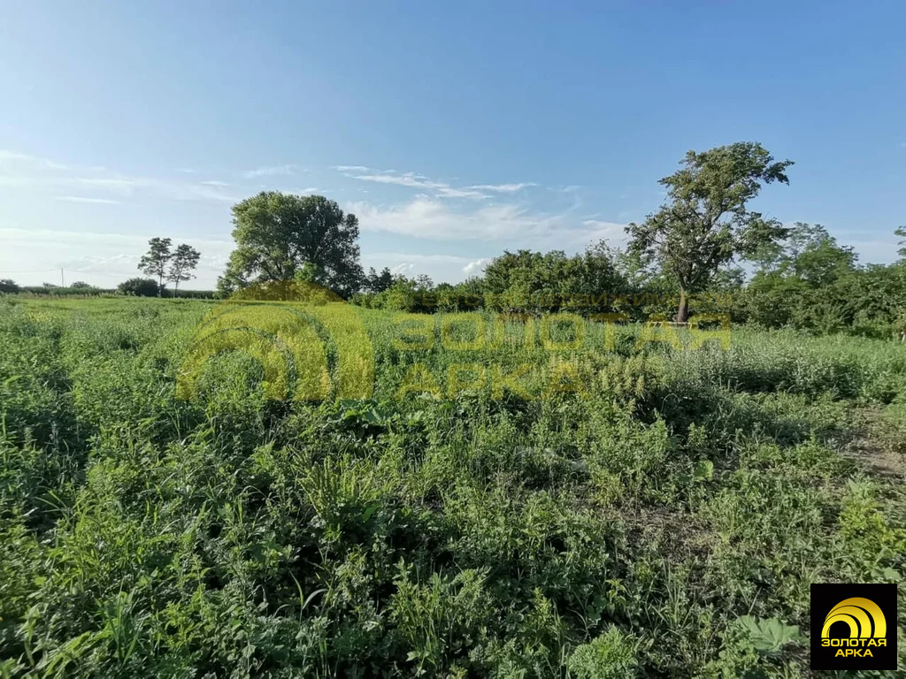 Продажа участка, Старонижестеблиевская, Красноармейский район - Фото 6