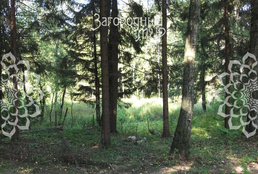 Продам участок, Варшавское шоссе, 35 км от МКАД - Фото 1