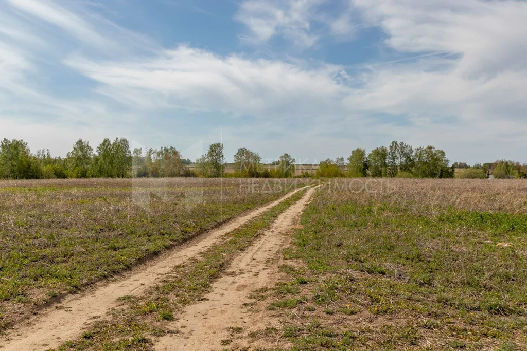 Продажа участка, Большие Акияры, Тюменский район, Тюменский р-н - Фото 26