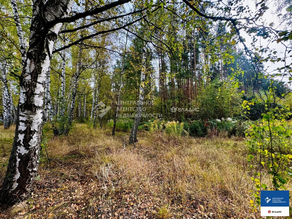Продажа участка, Казарь, Рязанский район, ул. Лесная - Фото 6