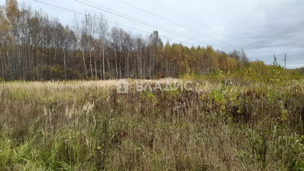 Павловский муниципальный округ, деревня Щепачиха,  земля на продажу - Фото 0