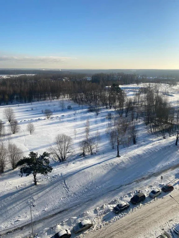 Продажа квартиры, Мисайлово, Ленинский район, Луговая улица - Фото 7