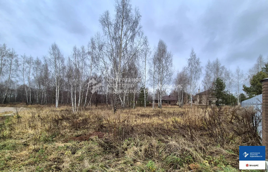 Продажа участка, Рязанский район, Светлая улица - Фото 5