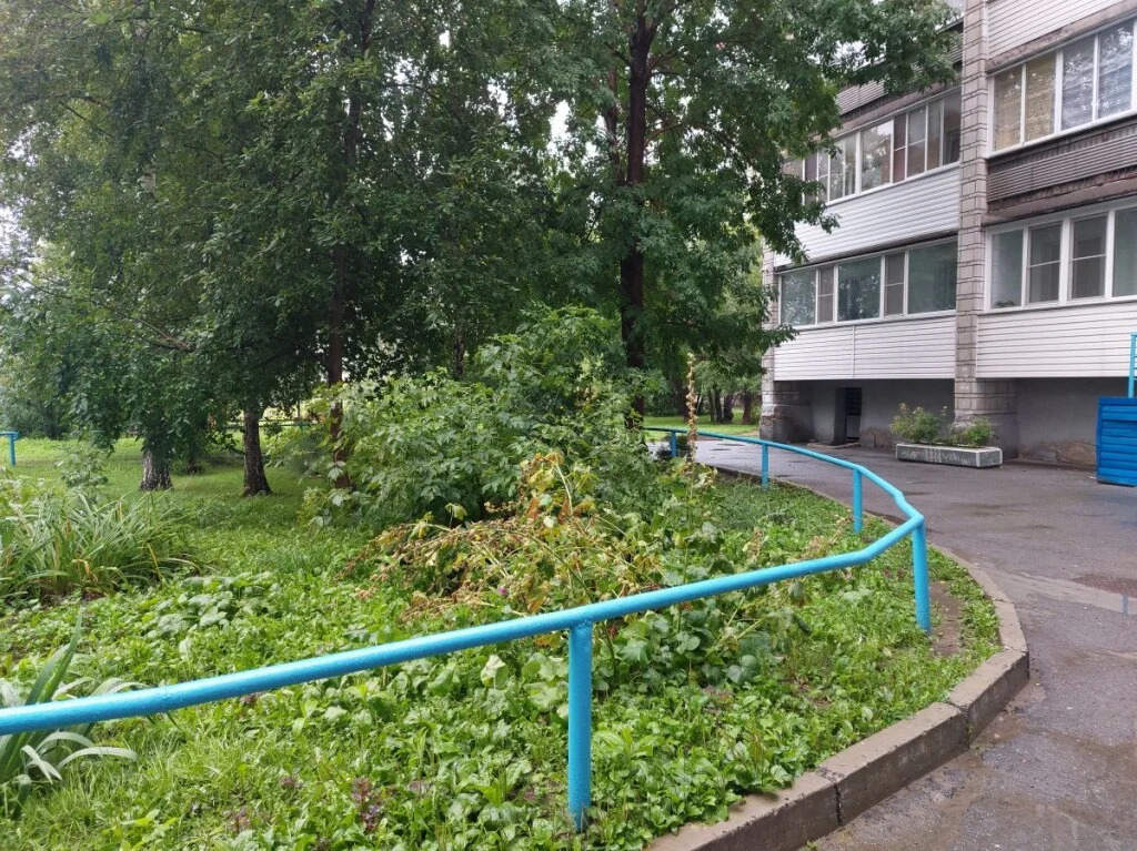 Продажа квартиры, Новосибирск, ул. Новая Заря - Фото 19