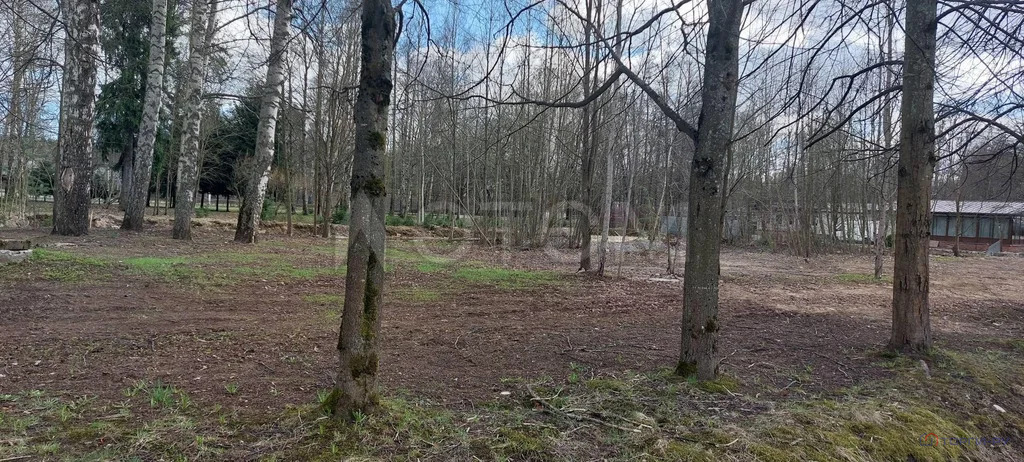 Продажа участка, Зеленогорск, ул. Вокзальная - Фото 3