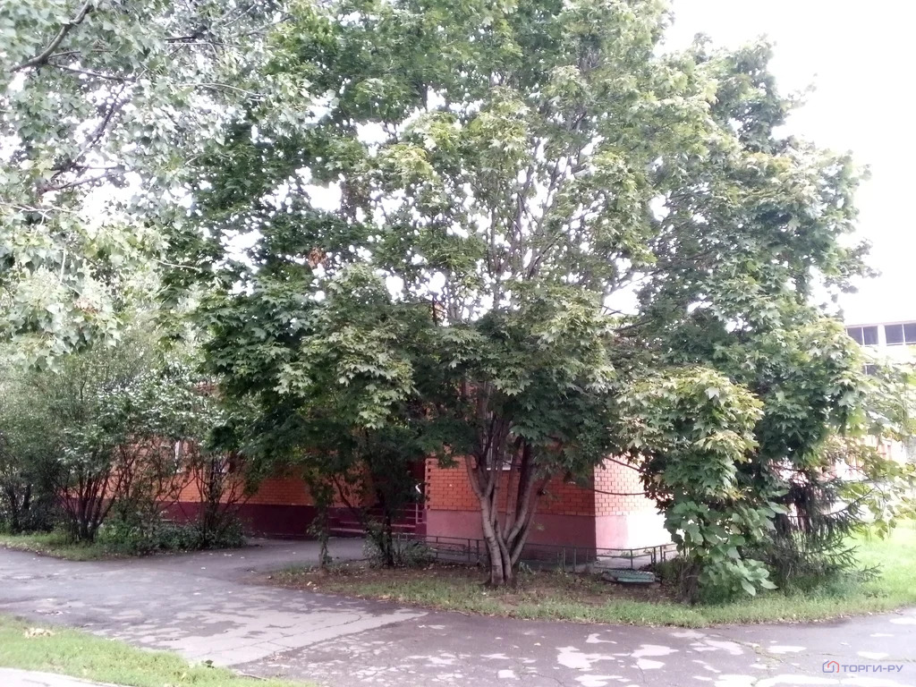 Продажа торгового помещения, ул. Верхние Поля - Фото 3