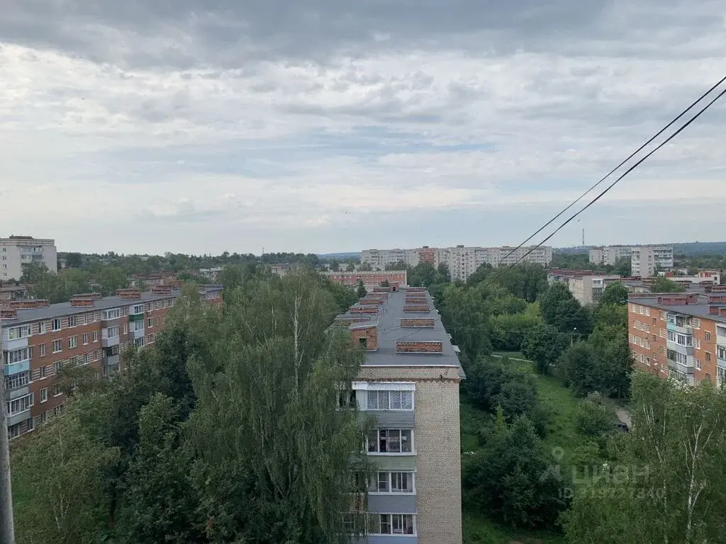 Продаю трехкомнатную квартиру в г.  Алексин - Фото 12