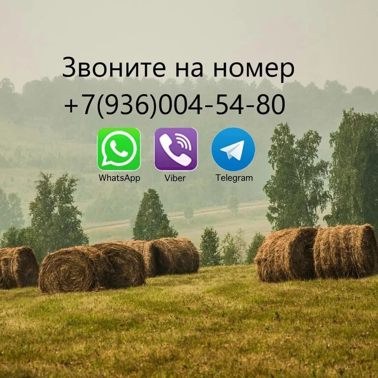 аренда квартиры в софрино. Смотреть фото аренда квартиры в софрино. Смотреть картинку аренда квартиры в софрино. Картинка про аренда квартиры в софрино. Фото аренда квартиры в софрино