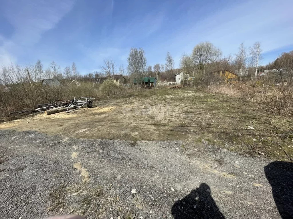 Продажа участка, Богородский г. о, Деревня Пушкино, 8 - Фото 5