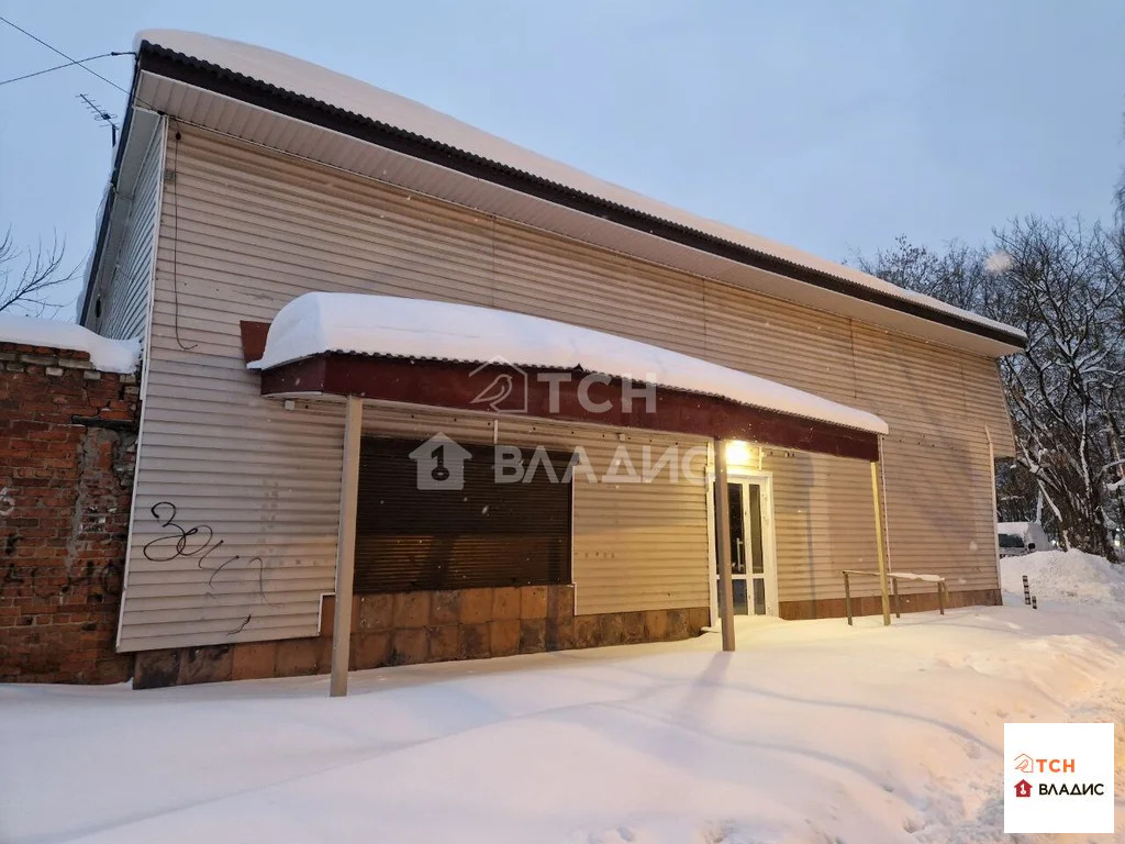 Аренда ПСН, Пушкино, Воскресенский район, Центральная улица - Фото 2