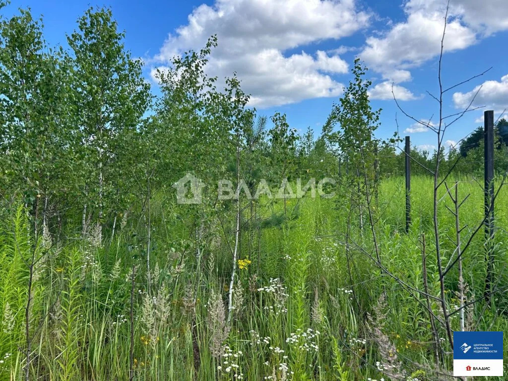 Продажа участка, Семкино, Рязанский район, коттеджный посёлок Сёмкина ... - Фото 2