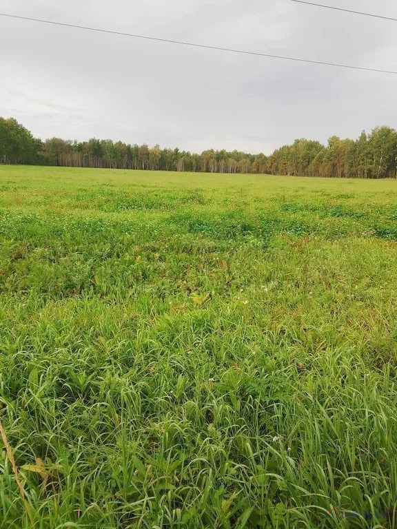 Продажа участка, Ялуторовский район - Фото 3