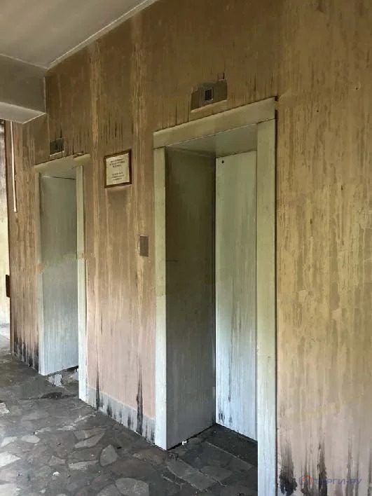 Продажа готового бизнеса, Пущино, ул. Академика Франка - Фото 29