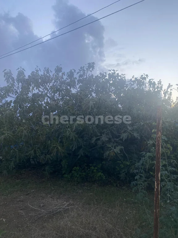 Продажа участка, Севастополь, территория СТ Икар-2 - Фото 6