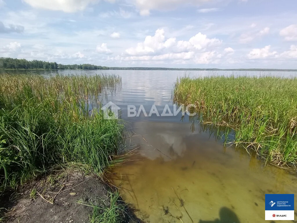 Продажа участка, Клепиковский район - Фото 1