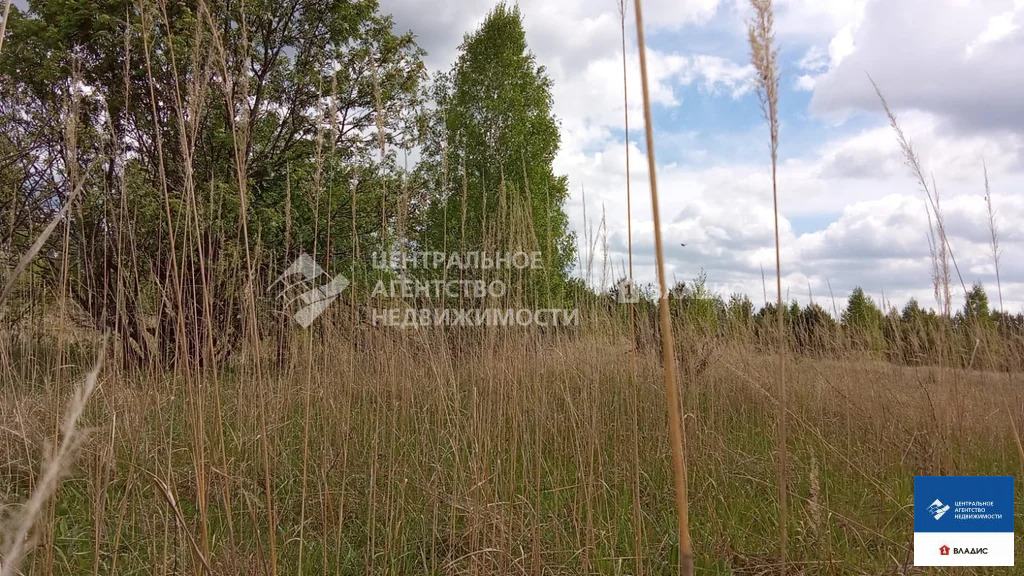 Продажа дома, Велье-Родионовка, Спасский район - Фото 34