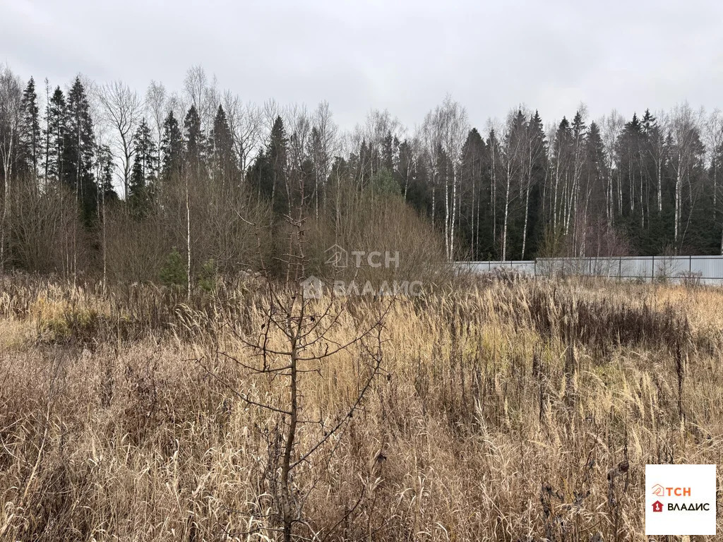 Продажа участка, Щелковский район - Фото 2