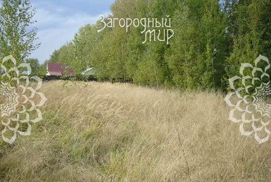 Продам участок, Калужское шоссе, 65 км от МКАД - Фото 1