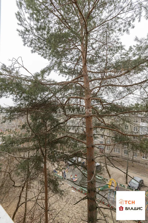 Продажа квартиры, Щелково, Щелковский район, ул. Сиреневая - Фото 2