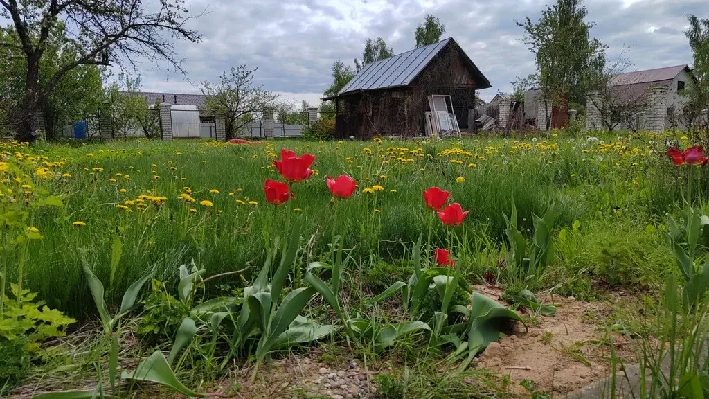 Продам коттедж в Национальном Парке «Завидово» - Фото 35