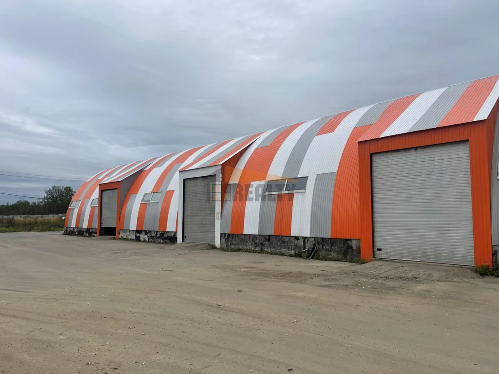 Аренда производственного помещения, Алешино, Пушкинский район - Фото 1