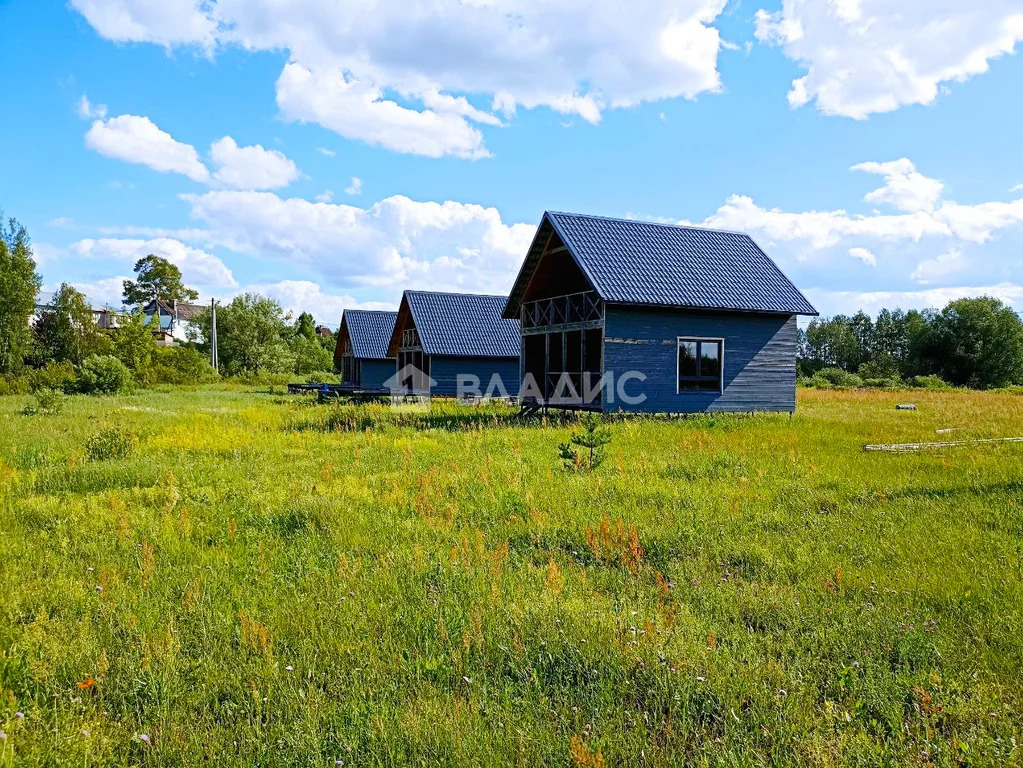 Земельный участок на продажу, Богородский городской округ, деревня ... - Фото 4