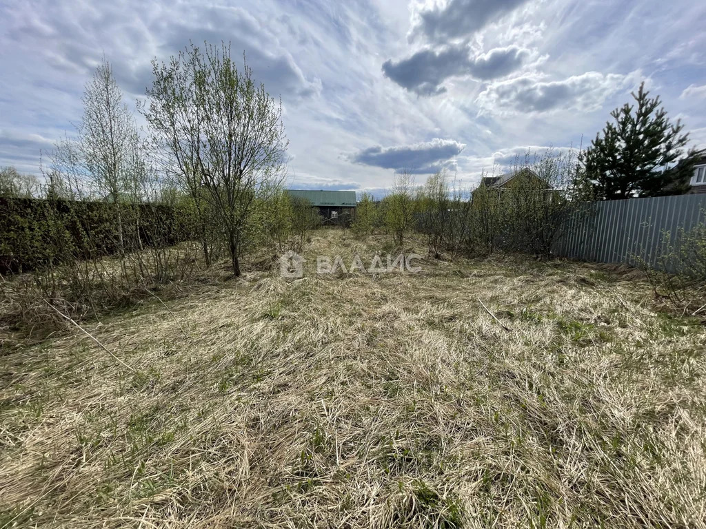 Сергиево-Посадский городской округ, деревня Новожёлтиково,  земля на ... - Фото 2