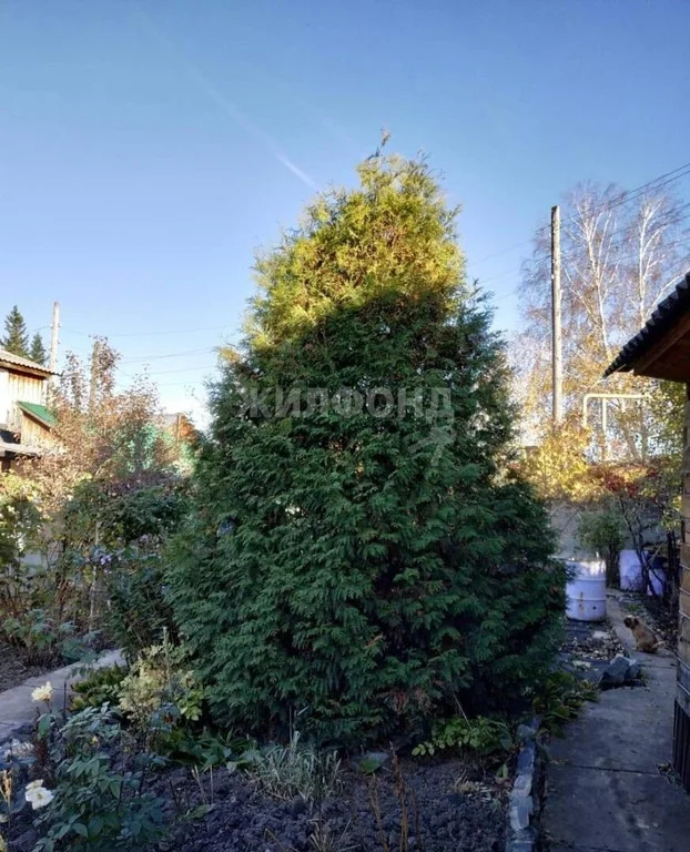 Продажа дома, Новосибирск - Фото 5