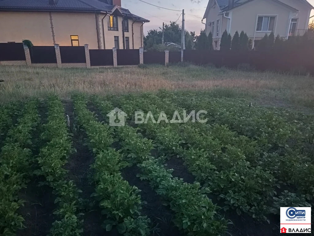 Продажа участка, Ямное, Рамонский район, ул. Ленина - Фото 3