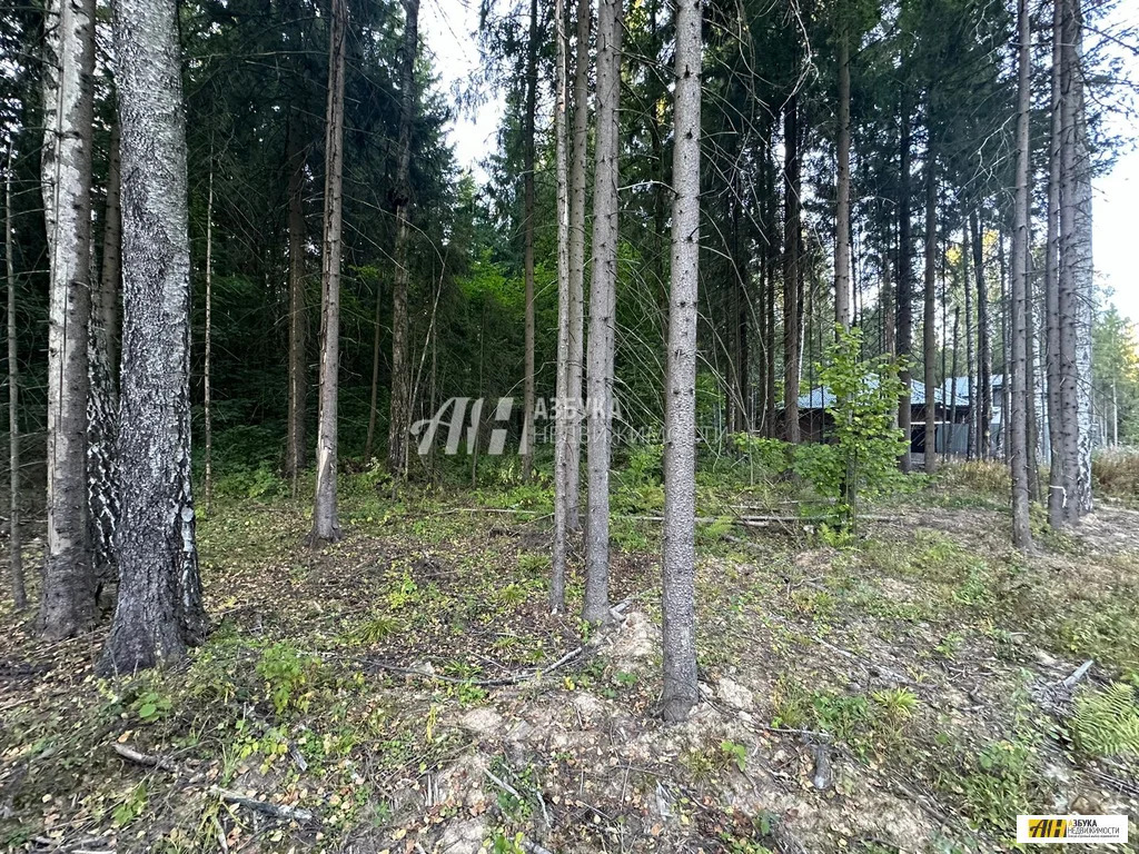 Продажа участка, Жилино, Богородский г. о. - Фото 11