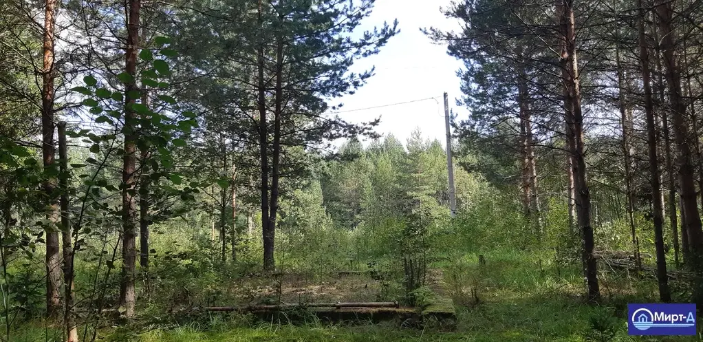 Уникальные участки в СНТ Междуречье д.Саввино - Фото 6