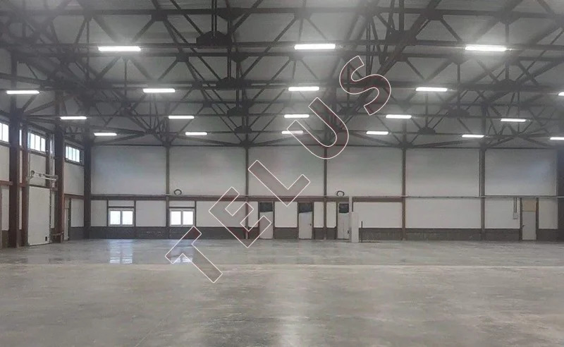 МО, Одинцово, Можайское шоссе, 3875 м2, Склад на участке 1 га (ном. ... - Фото 6