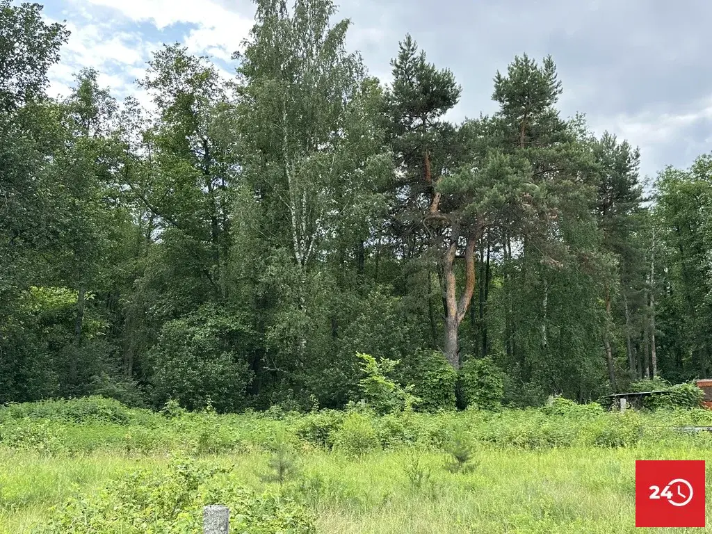 В продаже участок в живописном месте п. Муравьевка - Фото 8
