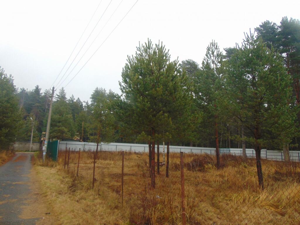 Снт пульс карта