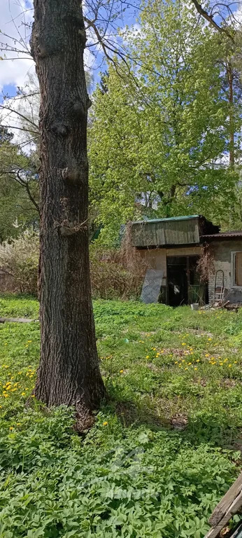 Продажа участка, Удельная, Раменский район, 3-го Интернационала ул. - Фото 2