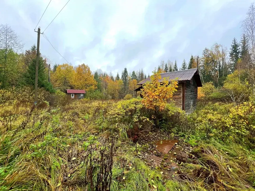 Дача в СНТ Василек-3 - Фото 19