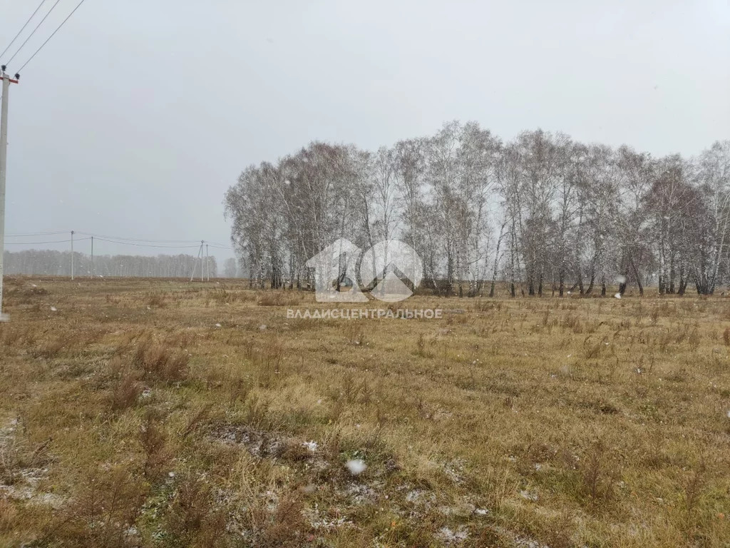 Ордынский район, село Вагайцево, улица Шукшина,  земля на продажу - Фото 0