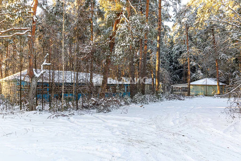 Земельный участок на продажу, Судогодский район, село Лукинское - Фото 18