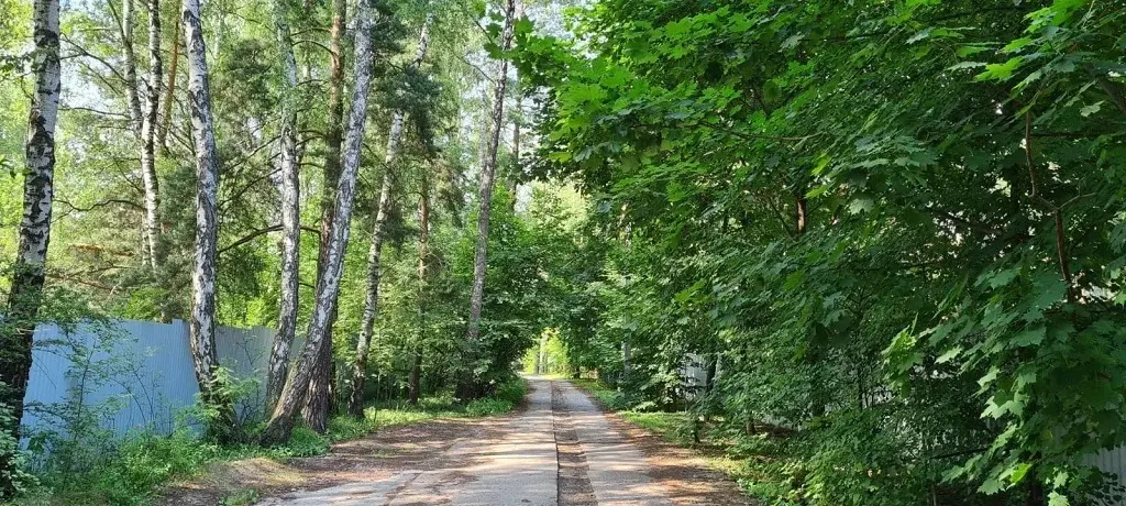 Лесной участок с рельефом около речки на Рублевке в 17 км от МКАД - Фото 5