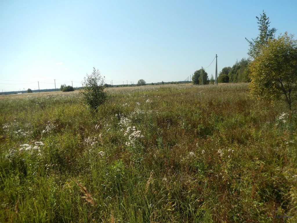 Продажа участка, Веригино, Сергиево-Посадский район - Фото 3