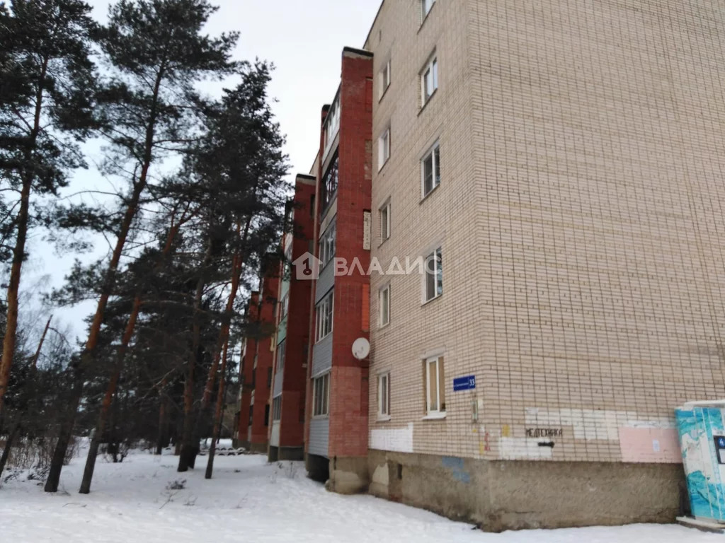 Городской округ Владимир, Судогодское шоссе, д.33, 1-комнатная . - Фото 18