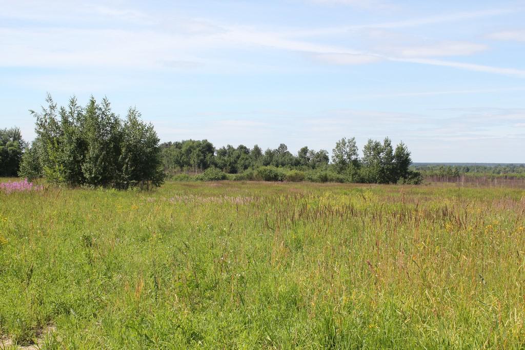 Купить Земельный Участок В Городе Раменское