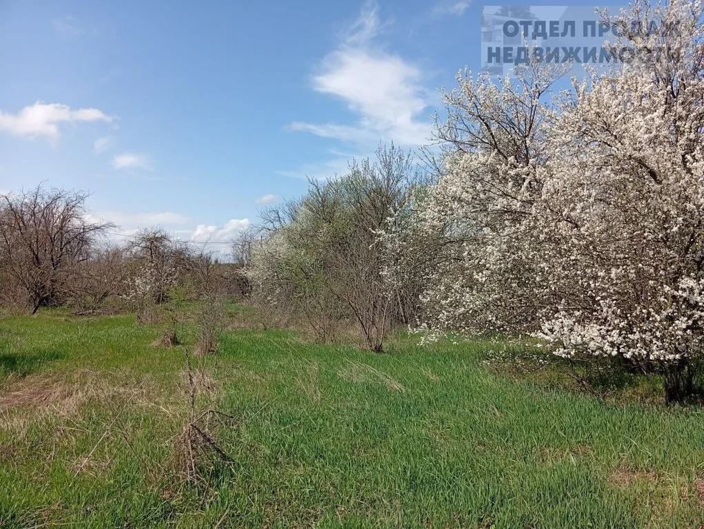 Участок на Озерках - Фото 2