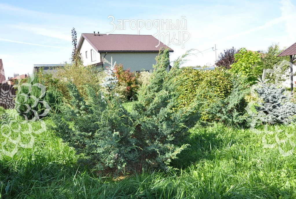 Продам дом, Новорязанское шоссе, 49 км от МКАД - Фото 31