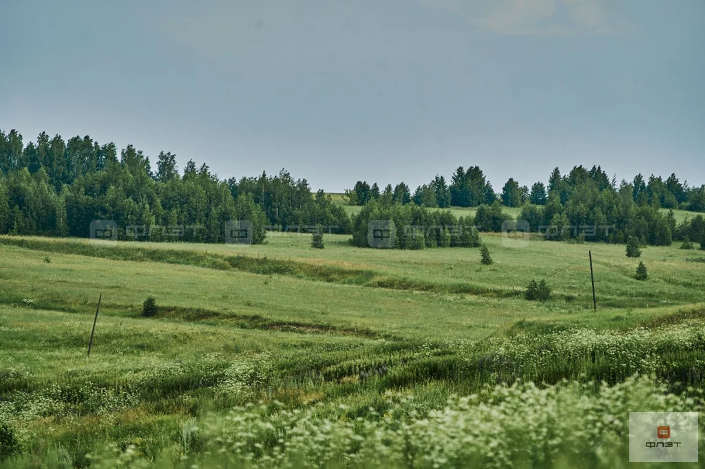 Продажа участка, Среднее Девятово, Лаишевский район, дом 102 - Фото 4