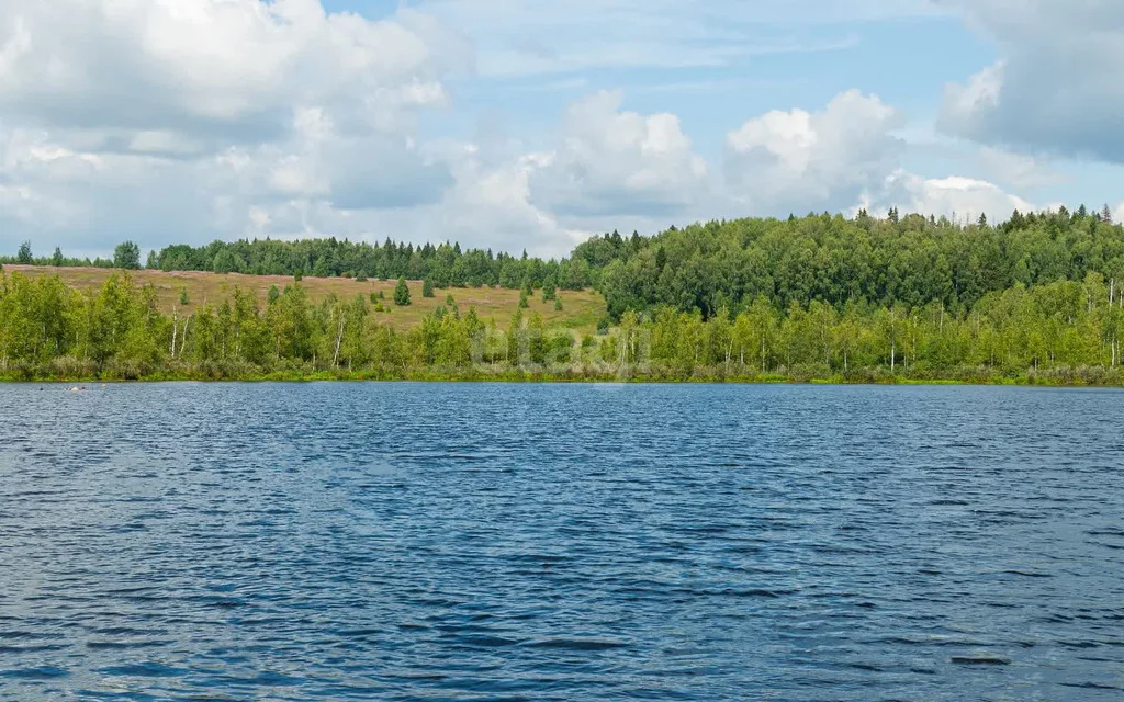 Продажа участка, Сбоево, Дмитровский район - Фото 3