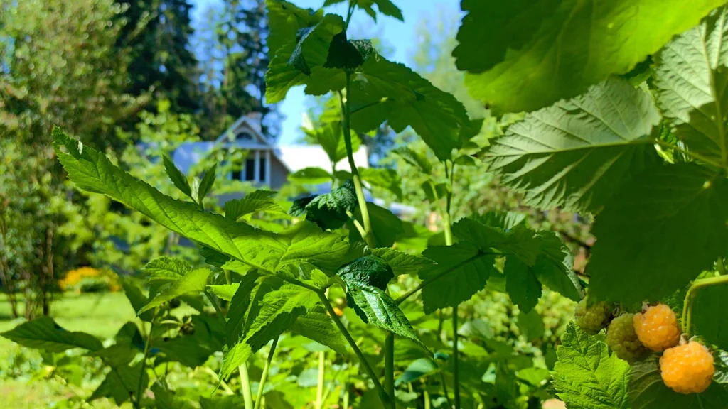 Продажа участка, Апрелевка, Наро-Фоминский район, ул. Кутузова - Фото 23