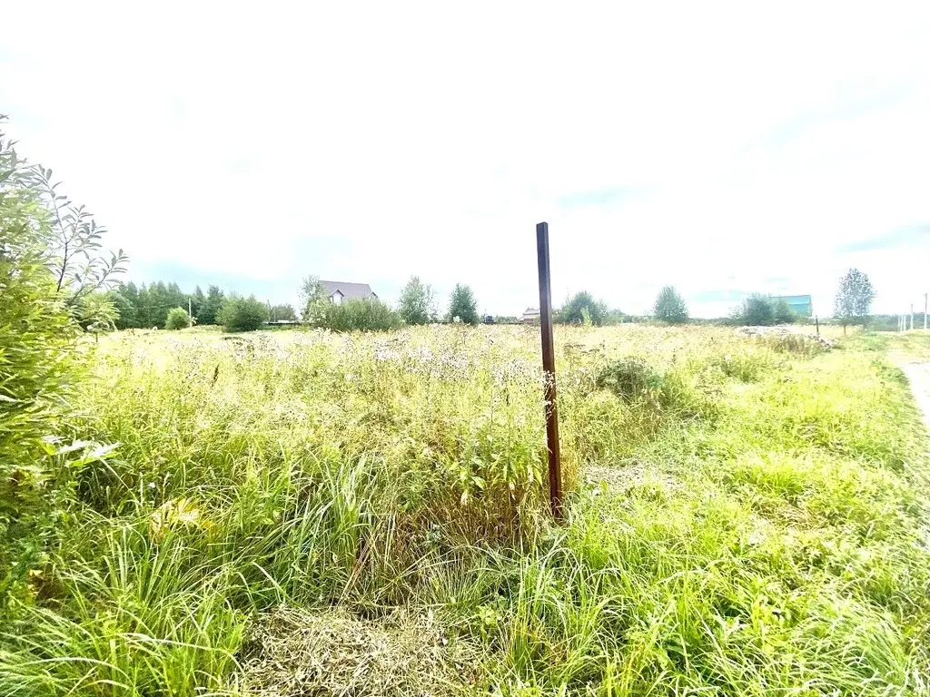 15 соток в Дмитровский район с. якоть. - Фото 0